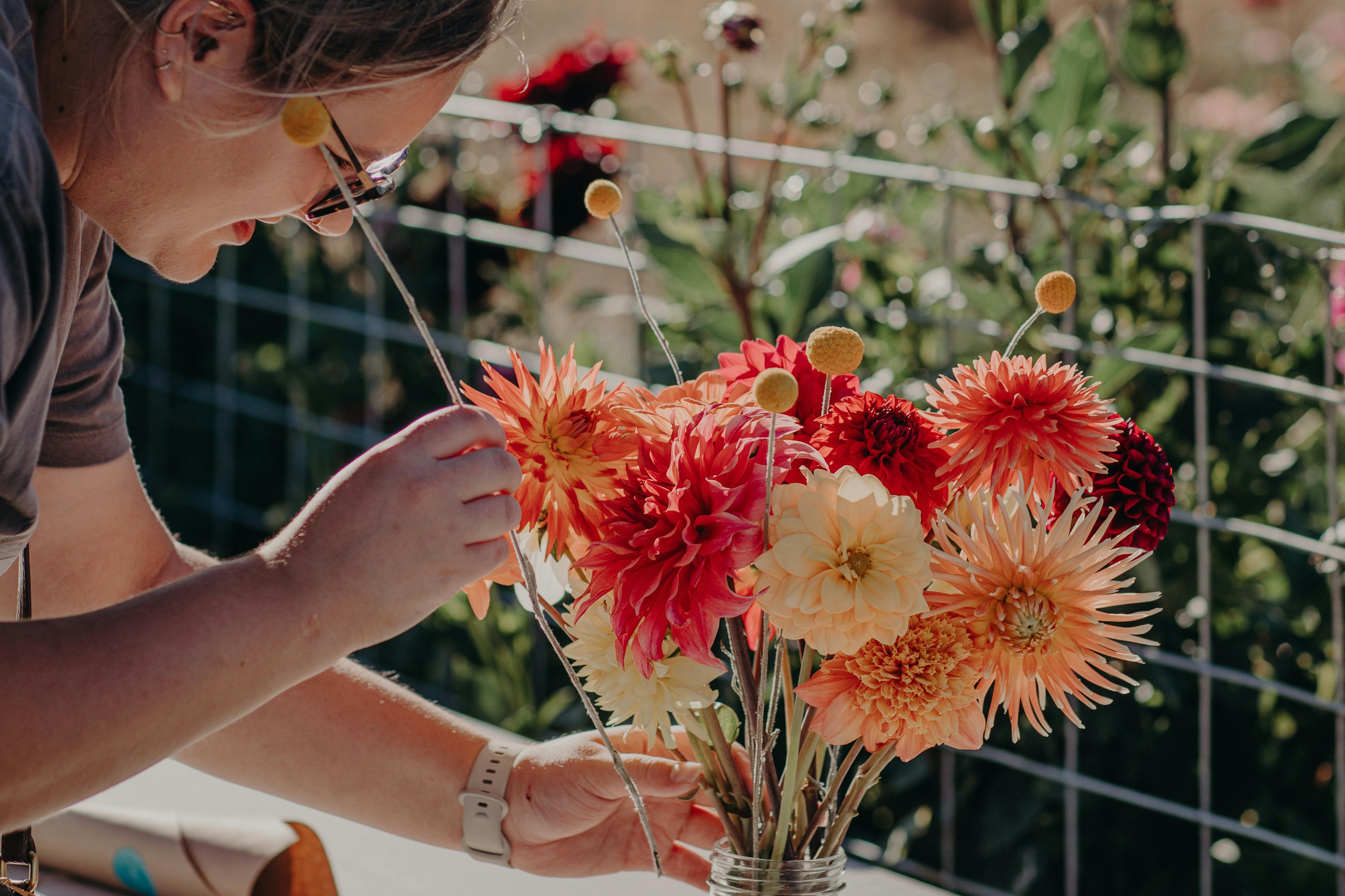 Little Forest Gardens - Pick Your Own Dahlias