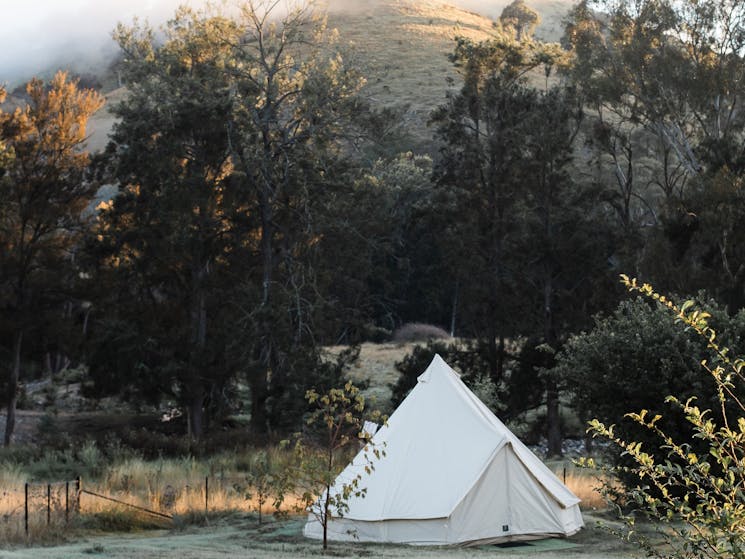 Accomodation is beautifully appointed bell tents with comfy beds and hot water bottles.