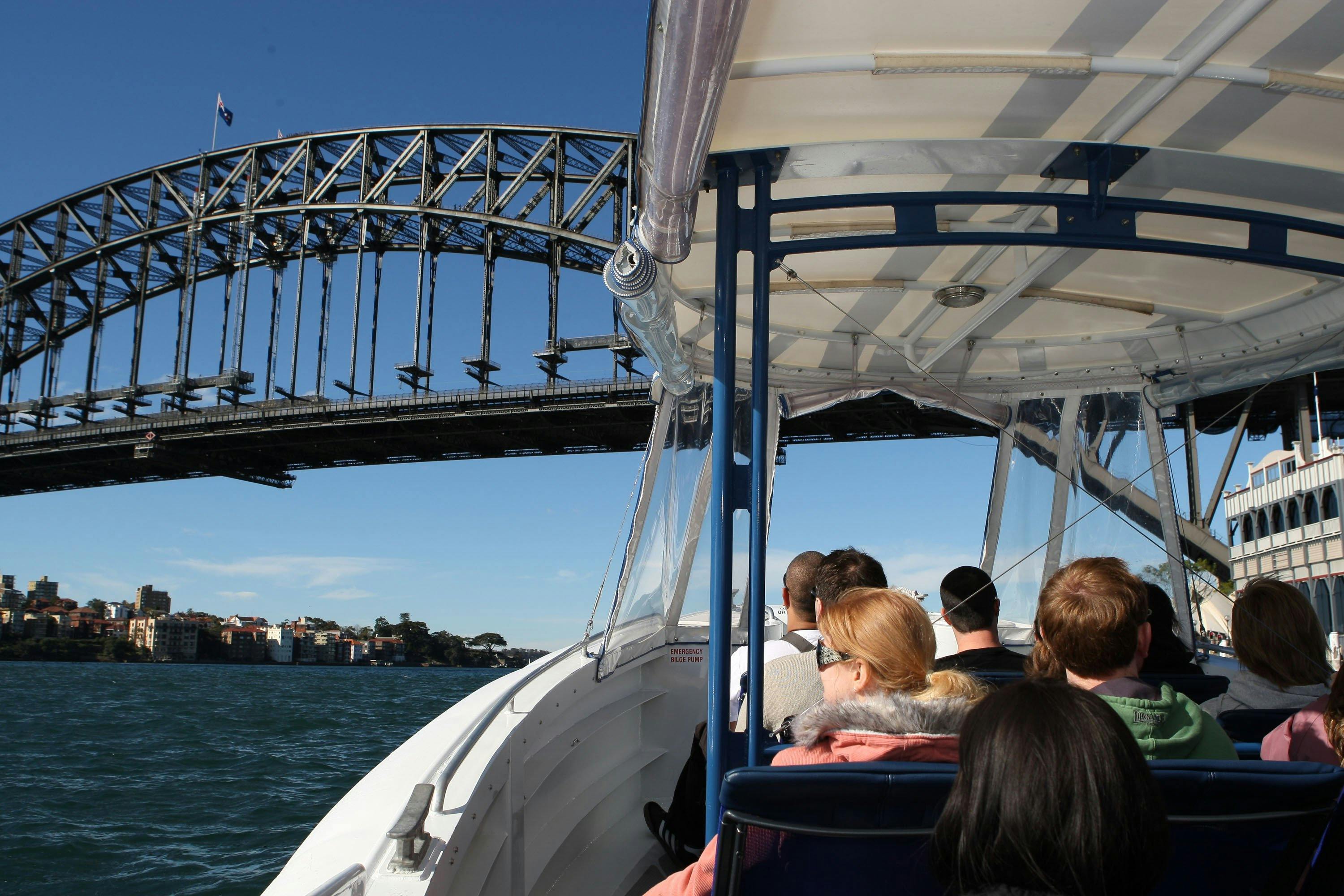 2시간 어드벤처 크루즈