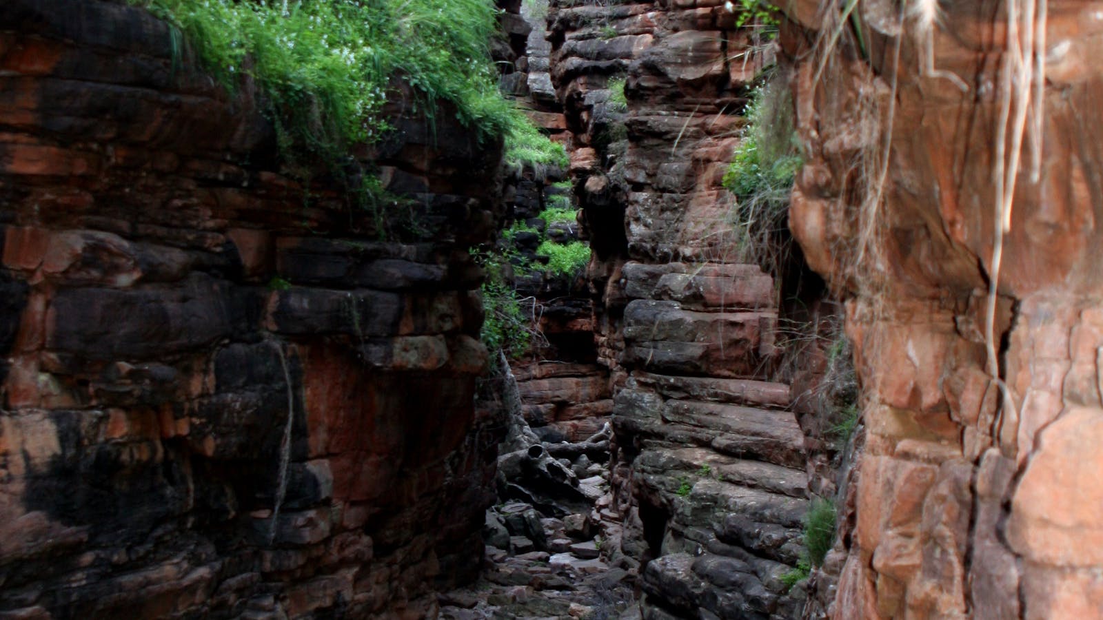 Mount Remarkable National Park