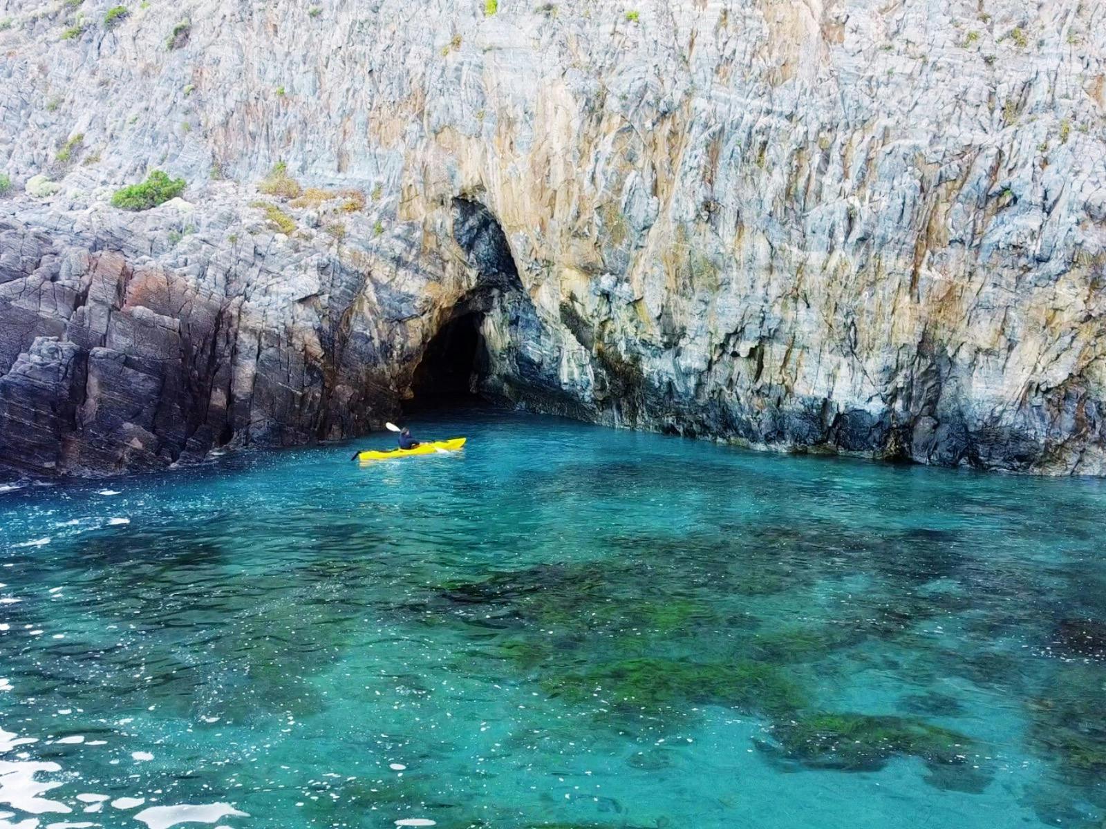 Kayak Rapid Bay