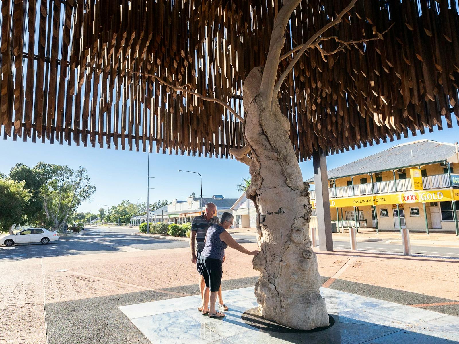 Tree of Knowledge, Barcaldine Tree of Knowledge, Barcaldine