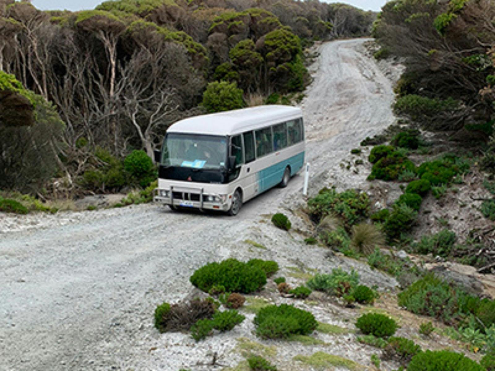 King Island Coach Company