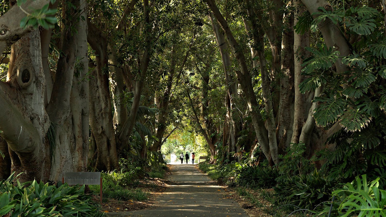 Adelaide Botanic Garden