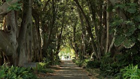 Adelaide Botanic Garden