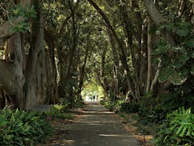 Adelaide Botanic Garden