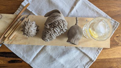 Ceramic seed pods with a gin and tonic