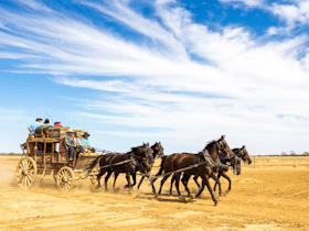 Outback Pioneers Stagecoach
