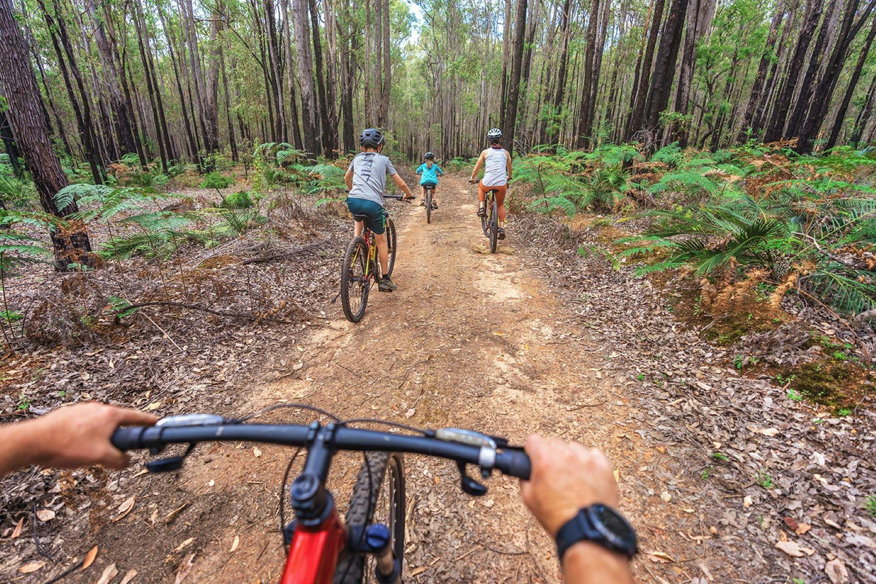 Family mountain bike riding in Lane Poole Reserve