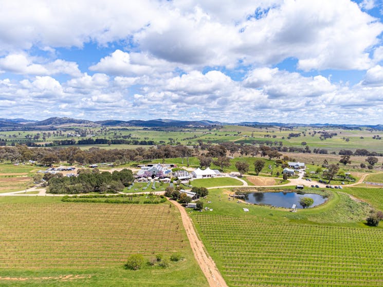 Lowe from above