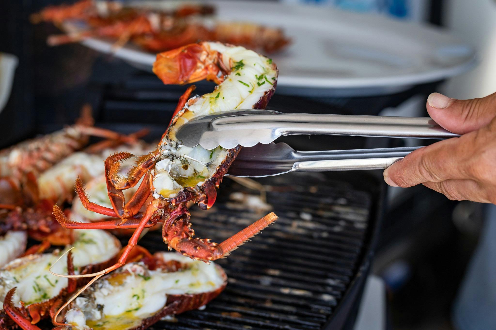 Reefwalker Charters, Kalbarri, Western Australia