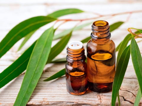 Native Australian Skincare Workshop