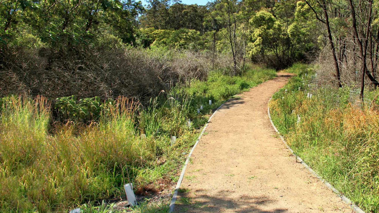 Minmi Cemetery Walk