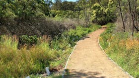 Minmi Cemetery Walk