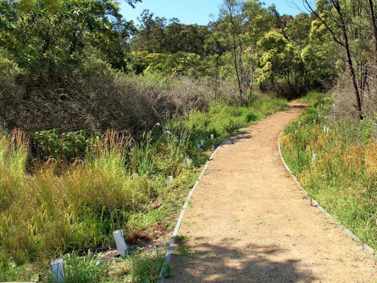 Looking along the cemetery walk. Photo: John Yurasek