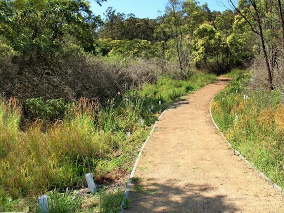 Minmi Cemetery Walk