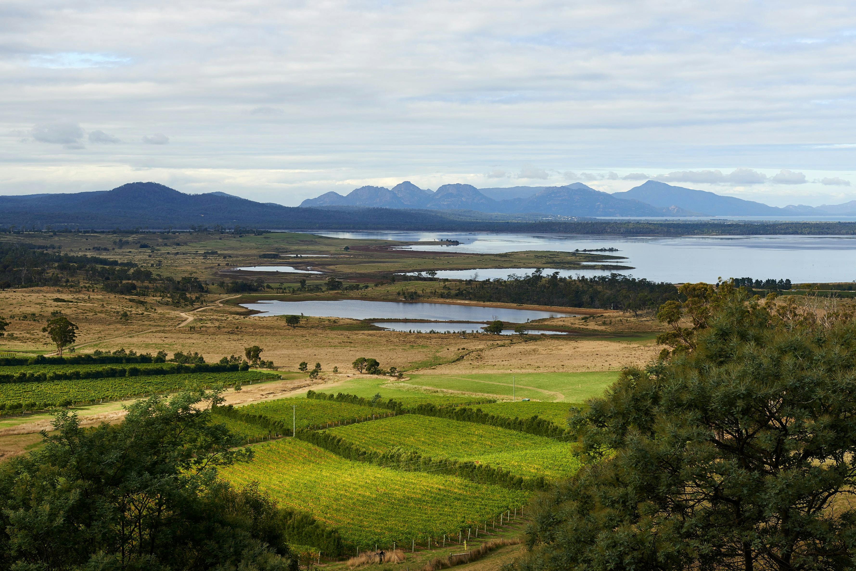 Devil's Corner, Freycinet, Tasmania, Winery, Ultimate Winery Experiences Australia