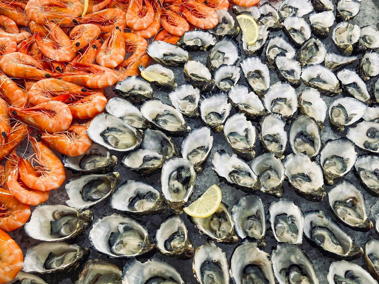 Seafood Cruise Mooloolaba