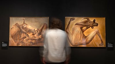 A person observing two paintings of bull carcass' by Sidney Nolan at Canberra Museum + Gallery