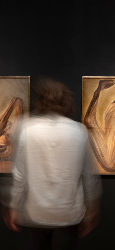 A person observing two paintings of bull carcass' by Sidney Nolan at Canberra Museum + Gallery