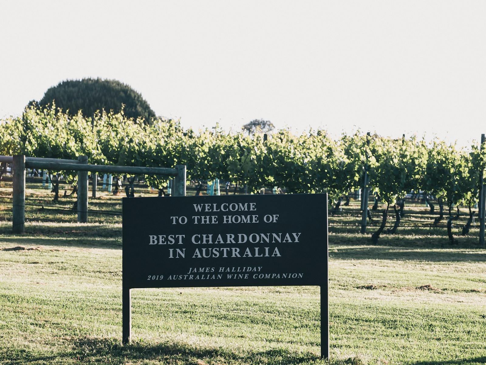 Singlefile Wines, Denmark, Western Australia