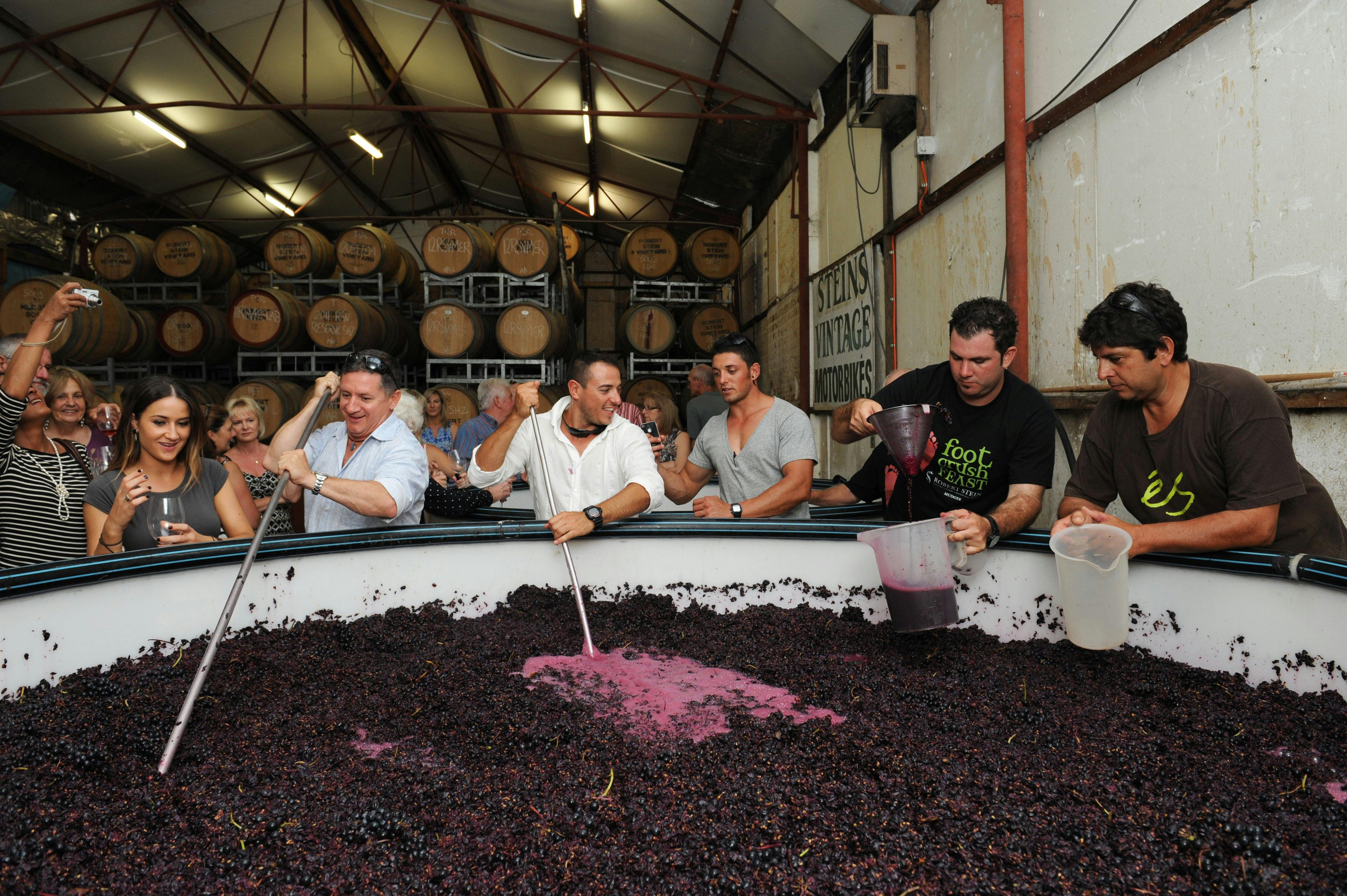 로버트 스타인 와이너리