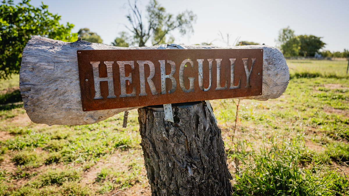 Herbgully is a 60 acre property near Roma QLD