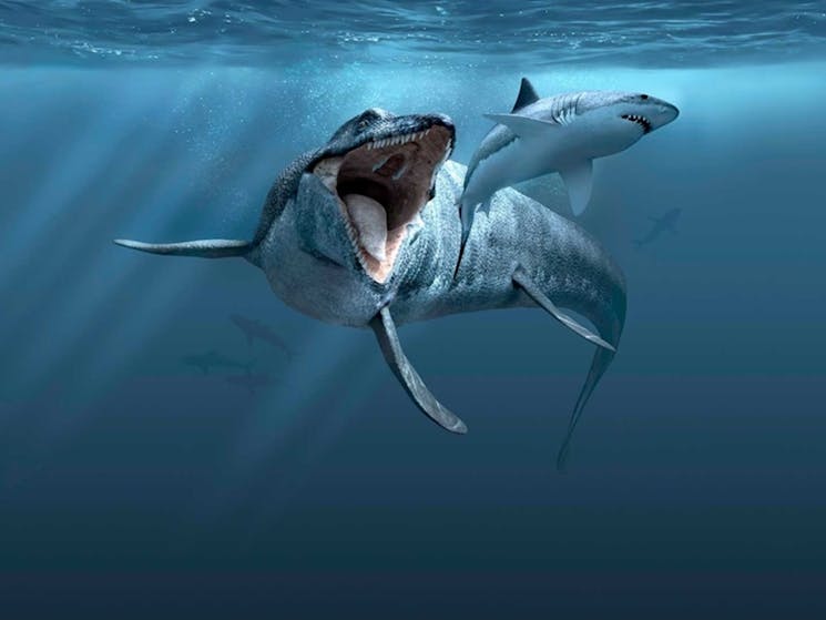 Sea Monsters - Prehistoric Ocean Predators | Sydney, Australia ...