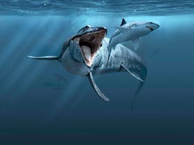Sea Monsters - Prehistoric Ocean Predators Cover Image