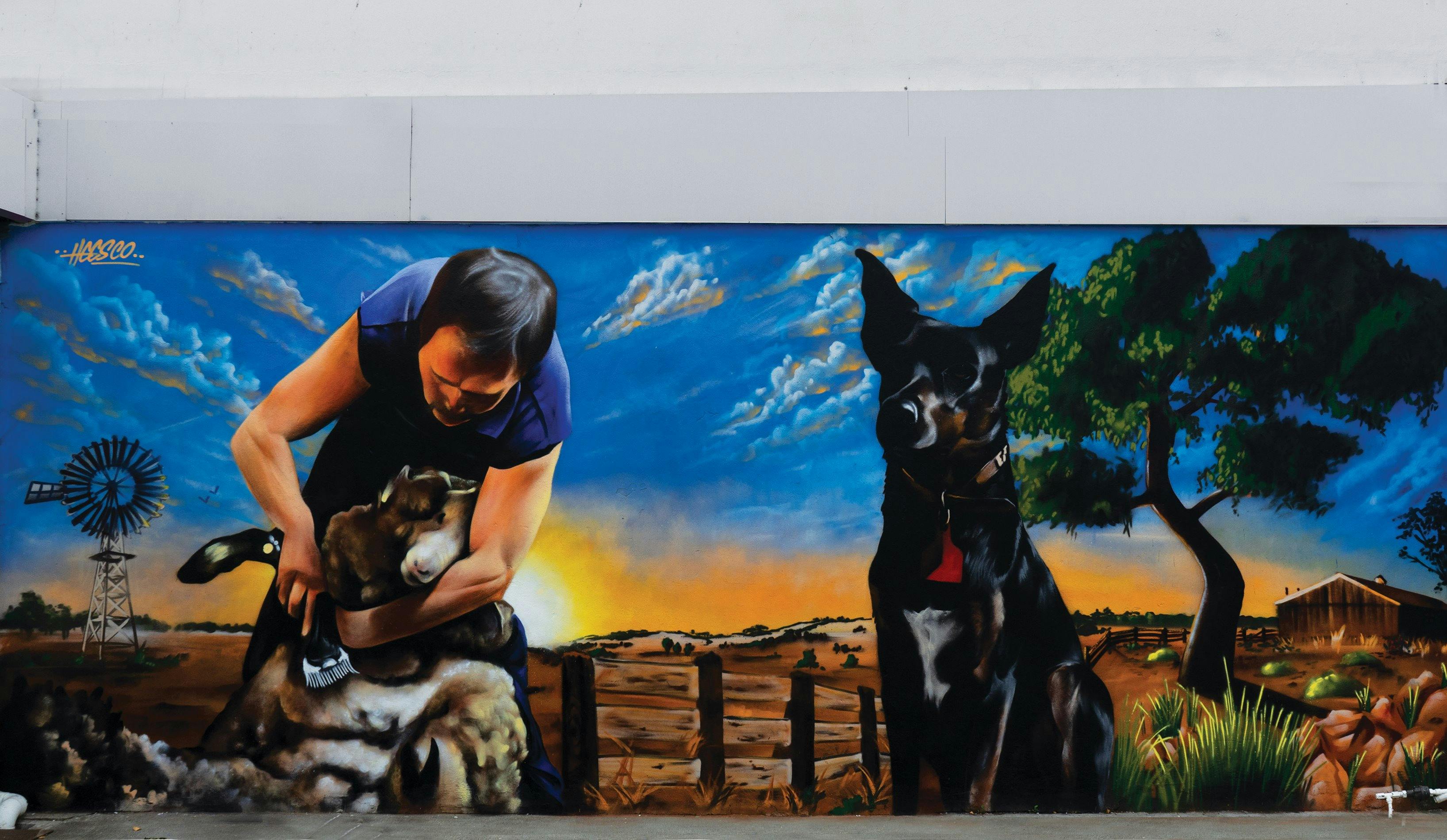 Yarram Street Art Trail - HeescoTown