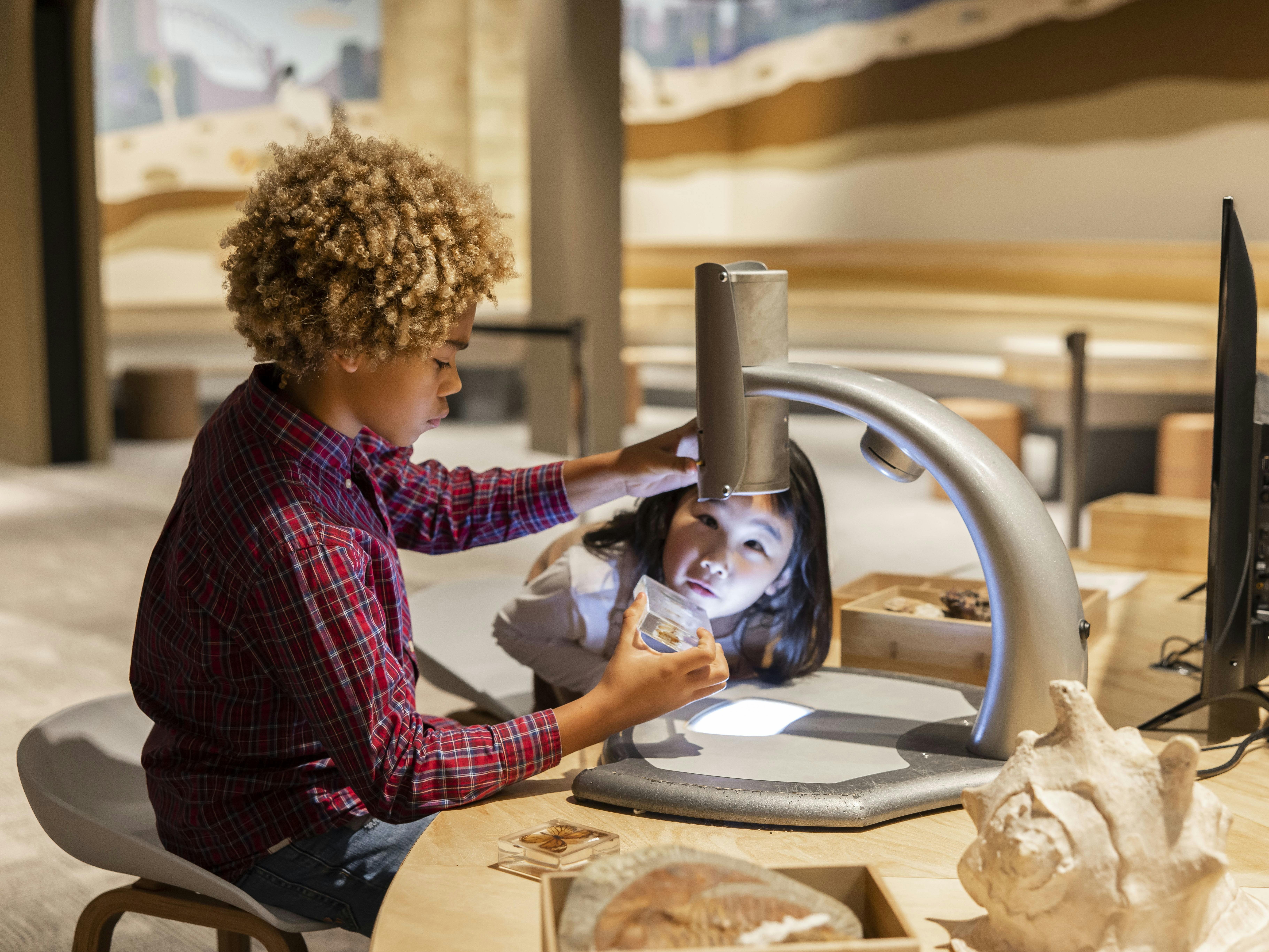 Unleash your inner scientist and get hands-on in Burra, the museum's interactive play space,