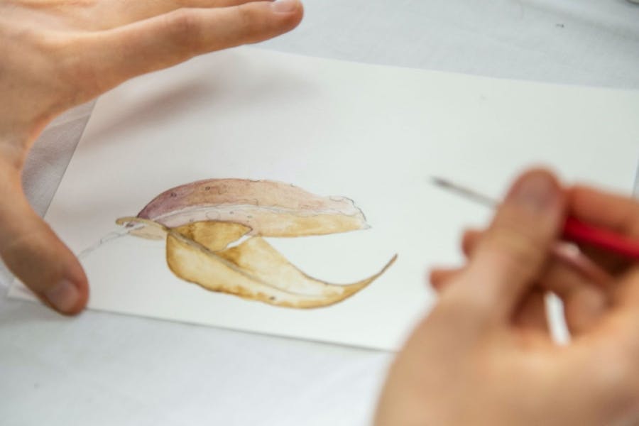 watercolour workshop, group class, art event, art and matcha, latte, cafe