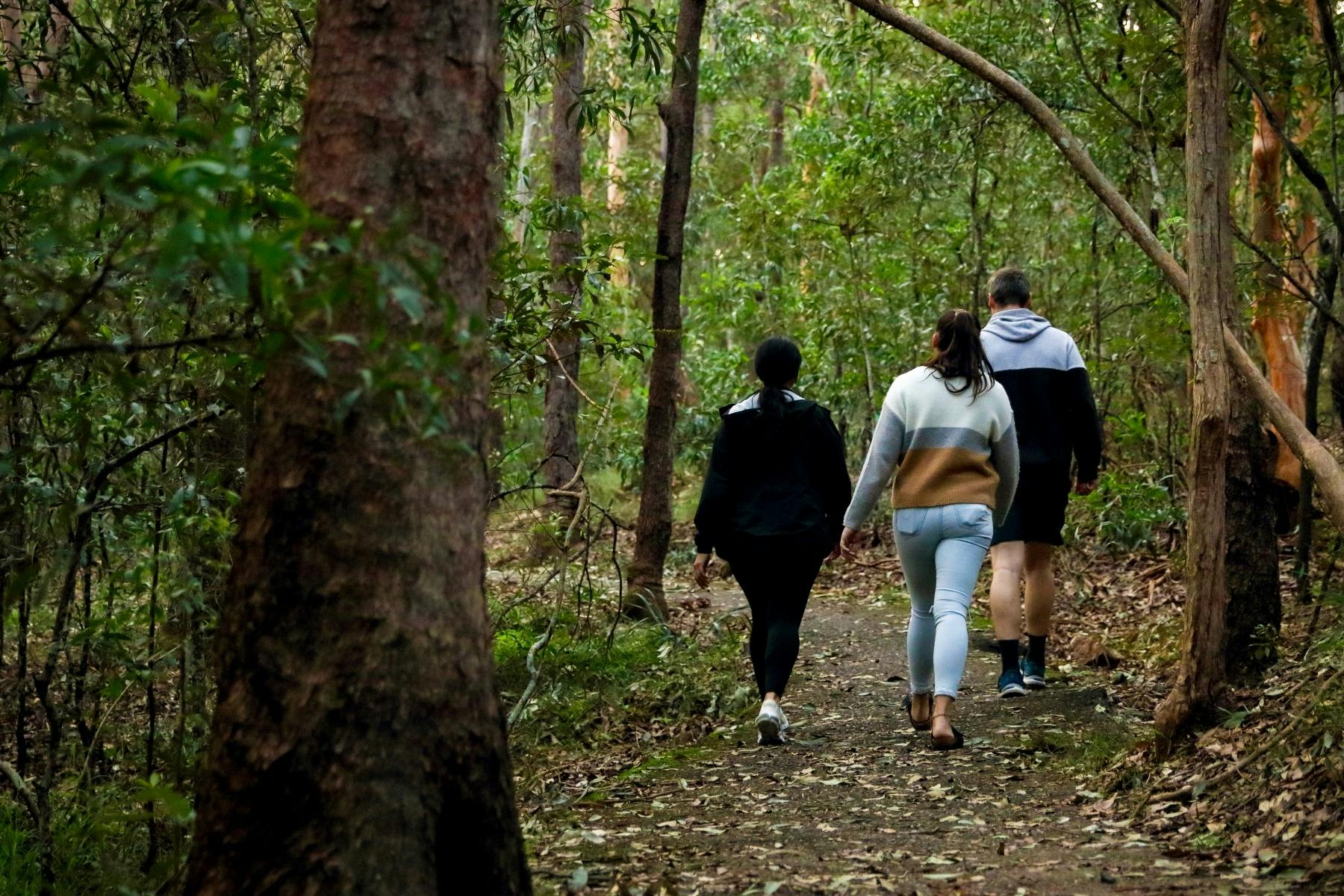 Great Trails Walking Series – Ipswich