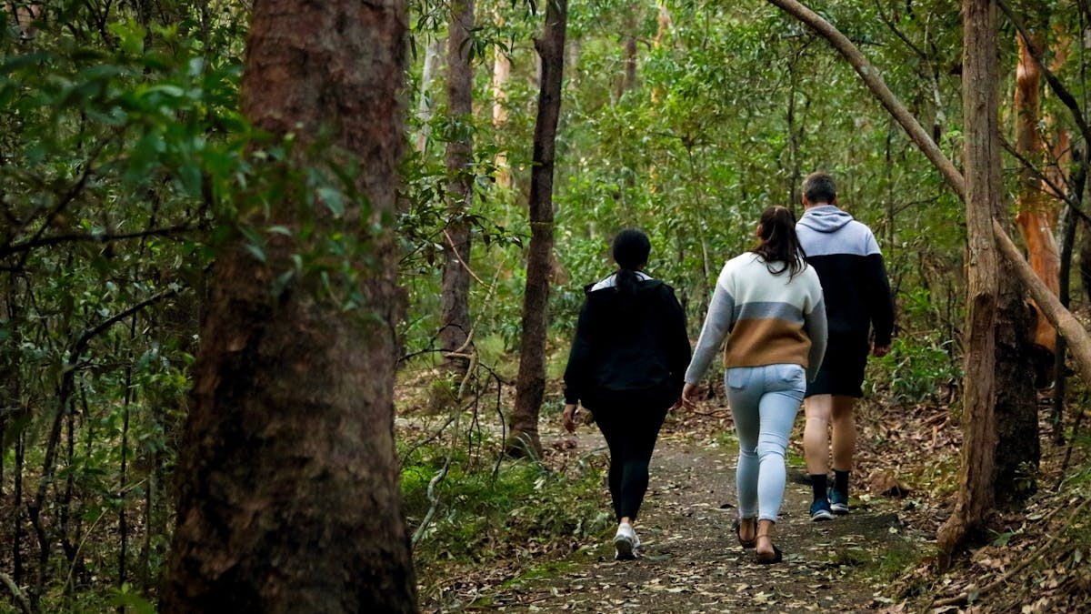 Denmark Hill Conservation Park