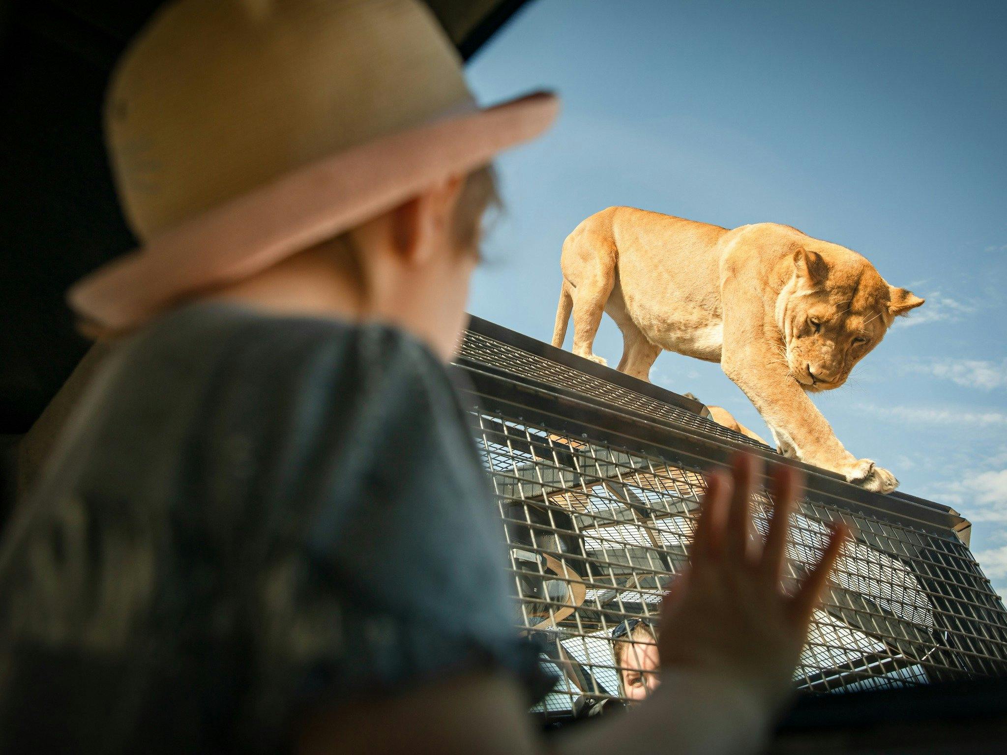 Monarto Safari Park