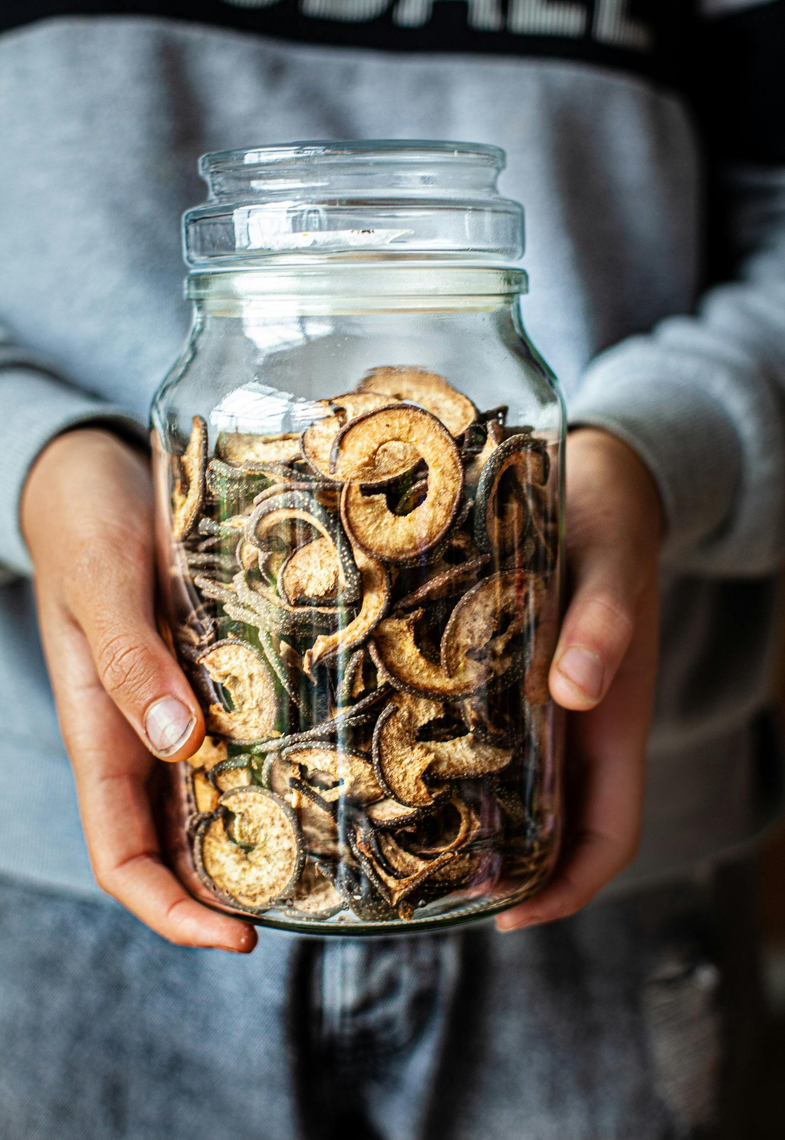 Fermenting, Drying and Preserving for Beginners