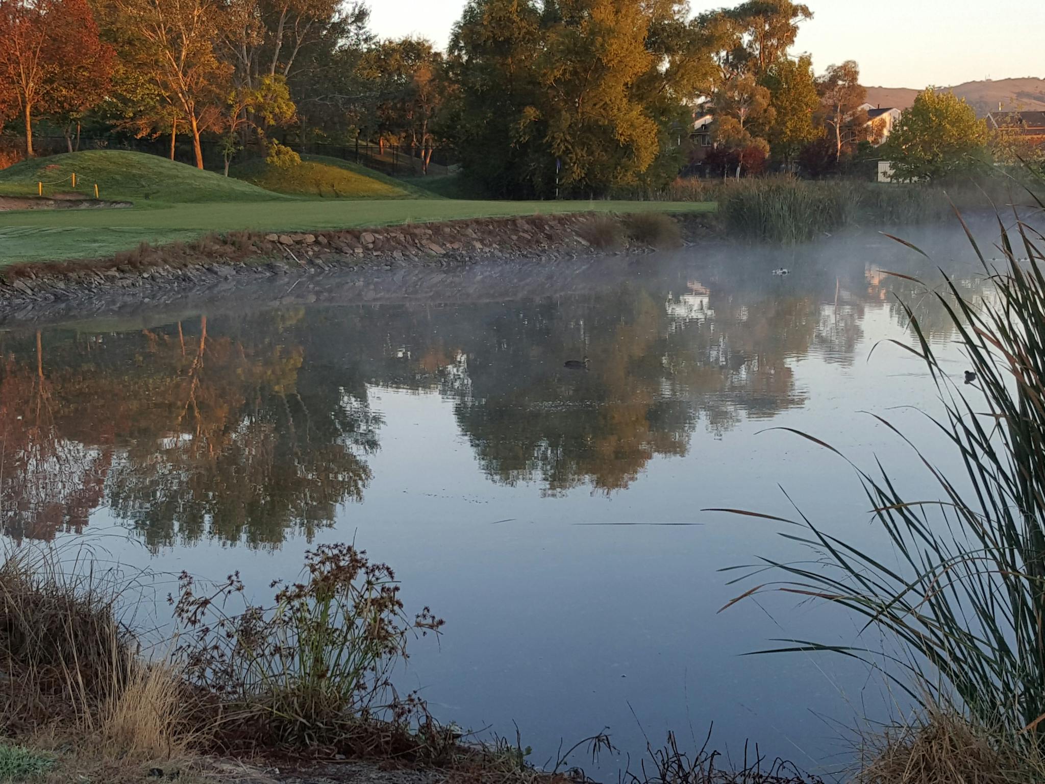Gold Creek