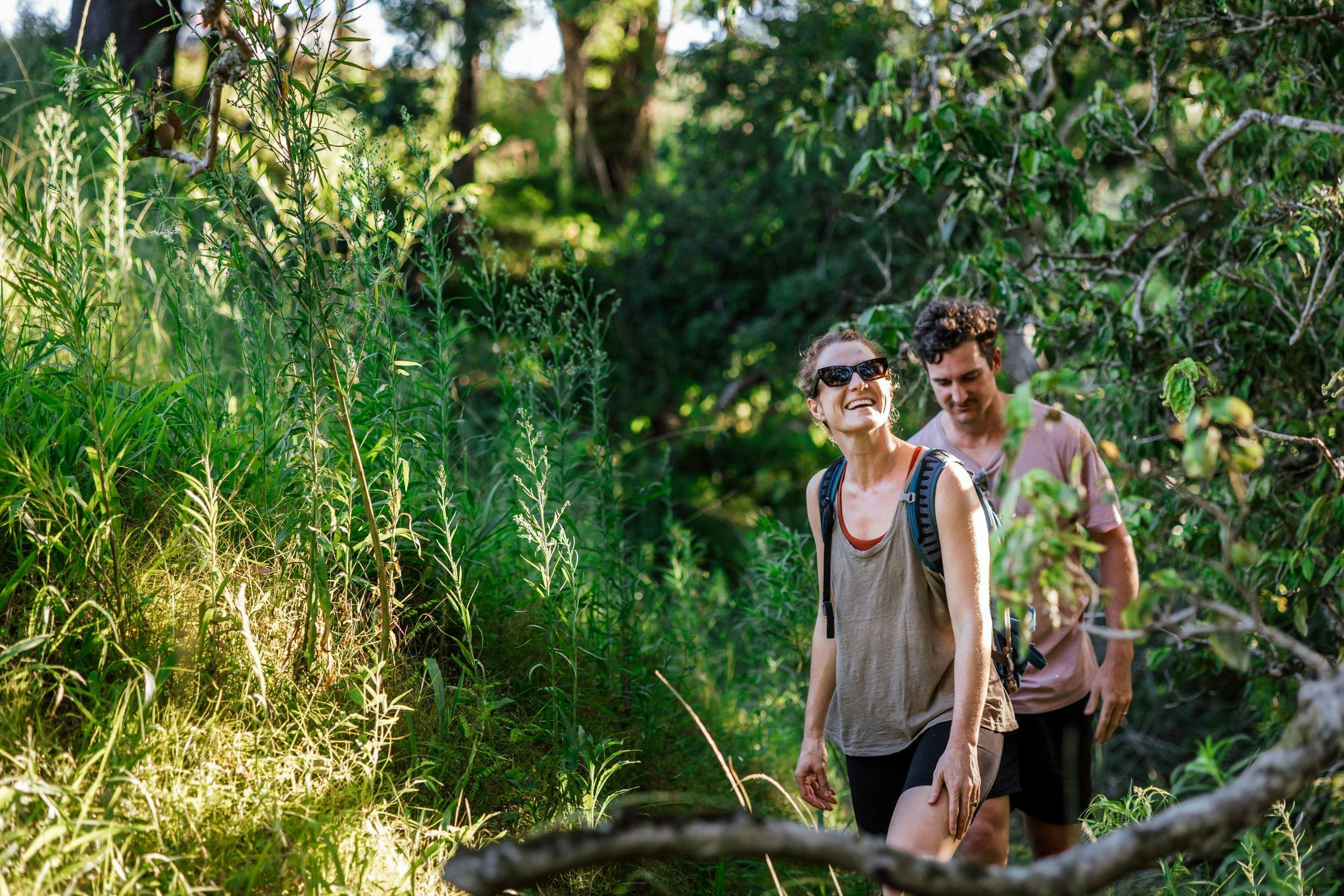 Couple walking through the forest