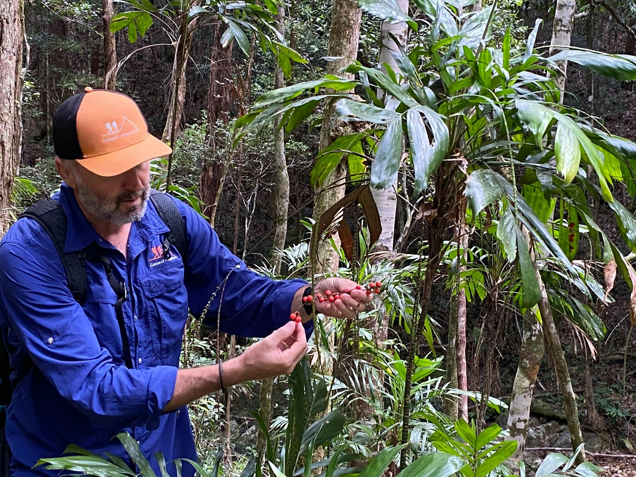 Guide talking about the Walking Stick Palm on the Gidjuum Gulganyi Walk
