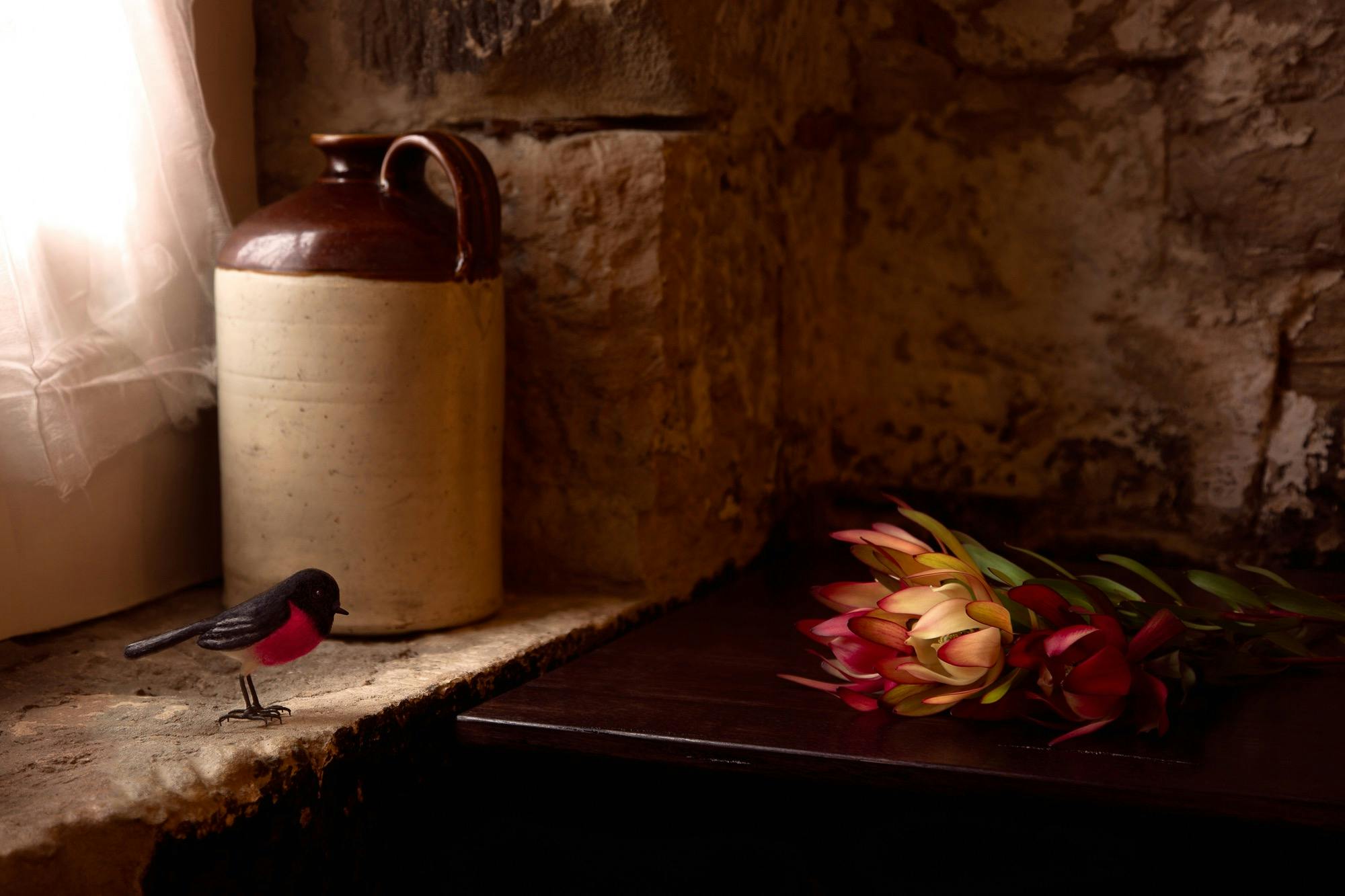 A pink robin and flame flower in a still life setting are arranged before a sandstone wall
