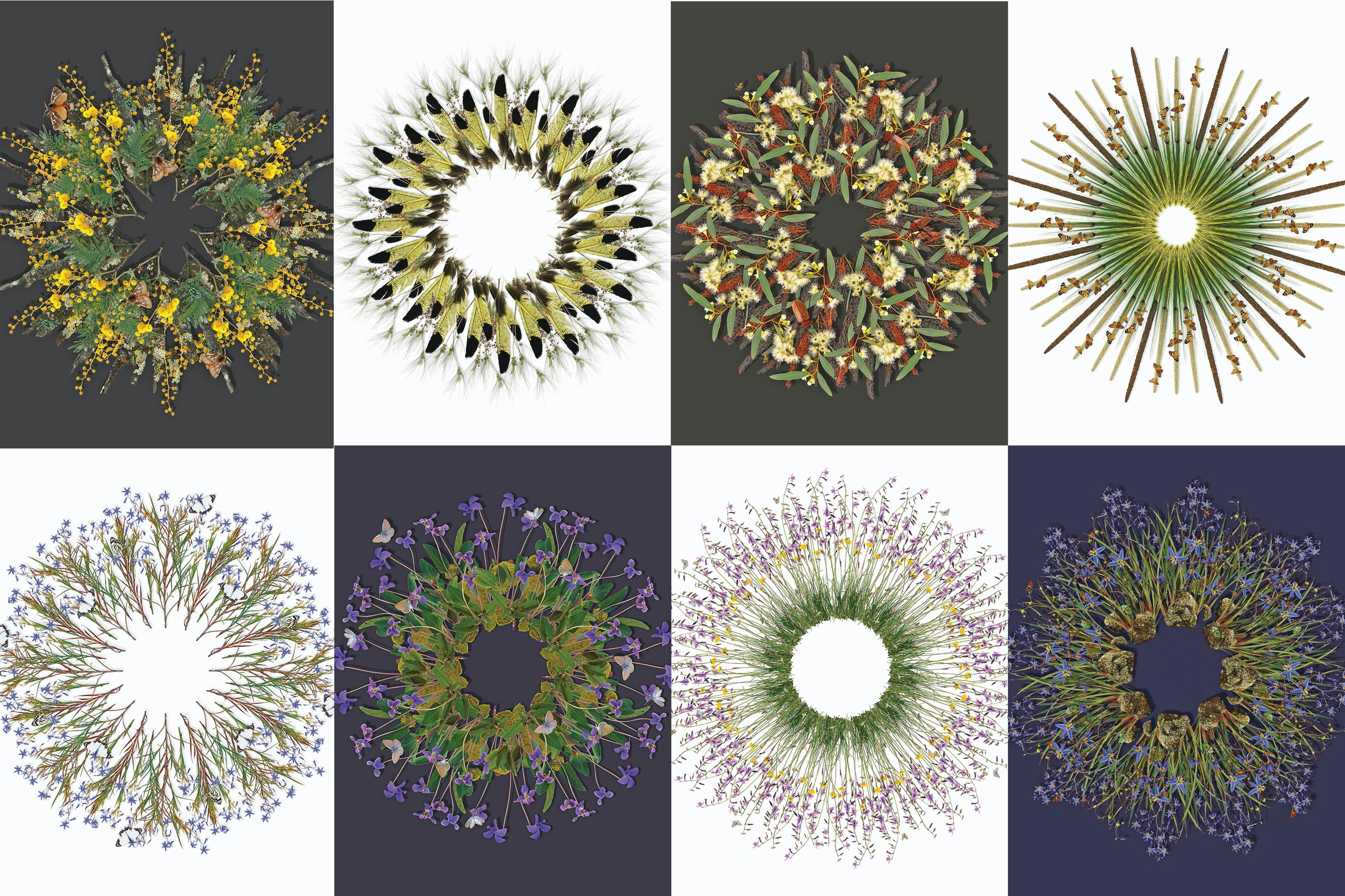 Jason McDonald photo art prints in the shop