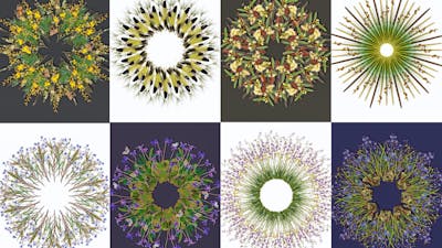 Jason McDonald photo art prints in the shop