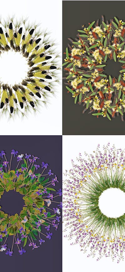 Jason McDonald photo art prints in the shop