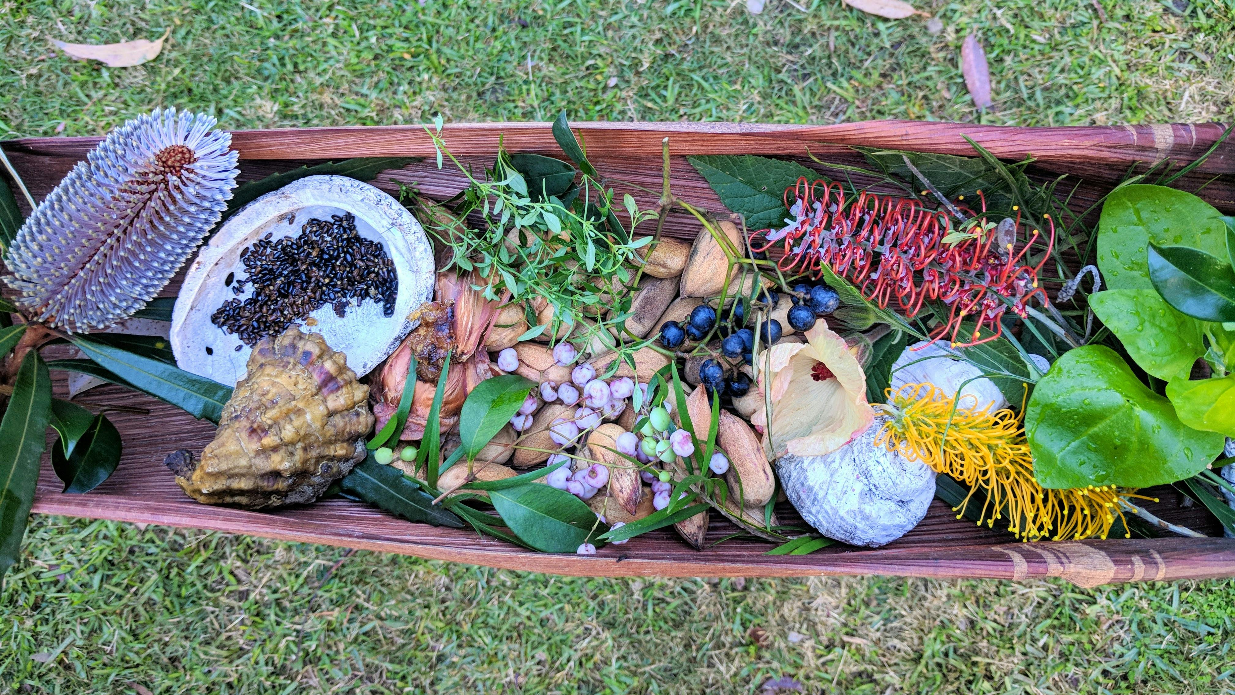 Variety of bushfoods that can be found in the local area