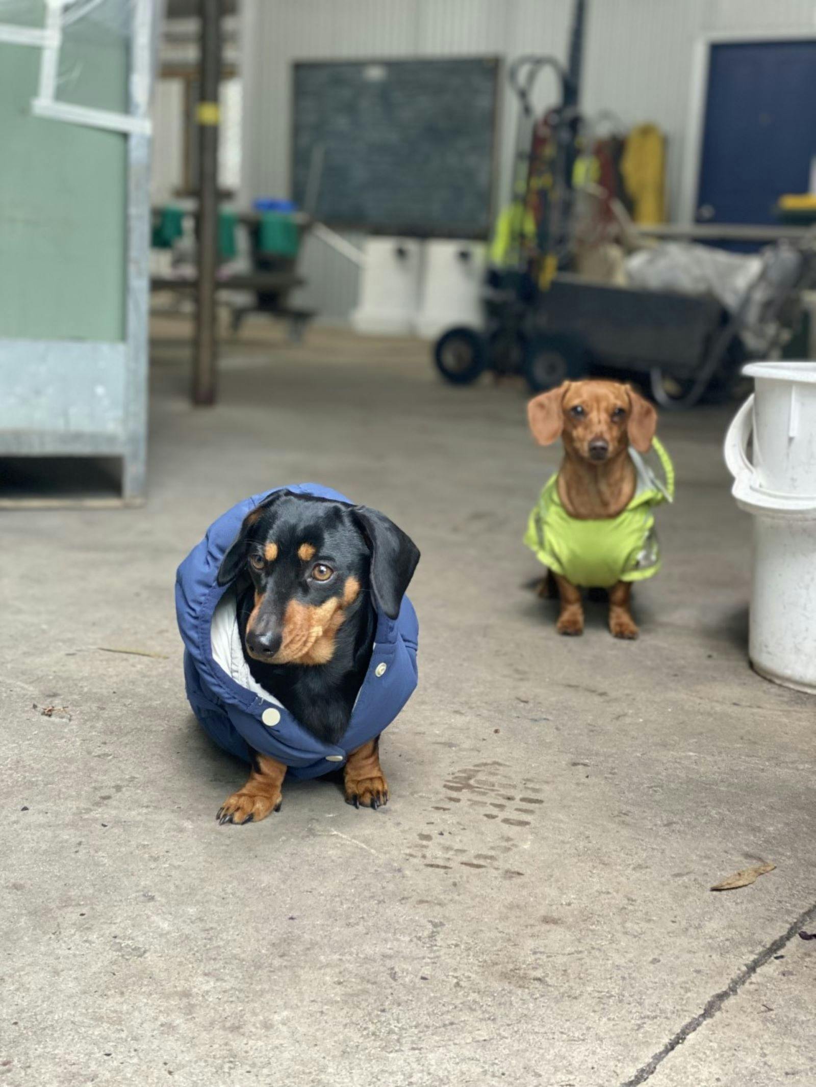 Clare Valley Winery, Jeanneret Wines, Clare Valley Brewing Co, Food Trucks, Wine, Beer, Gin, Food