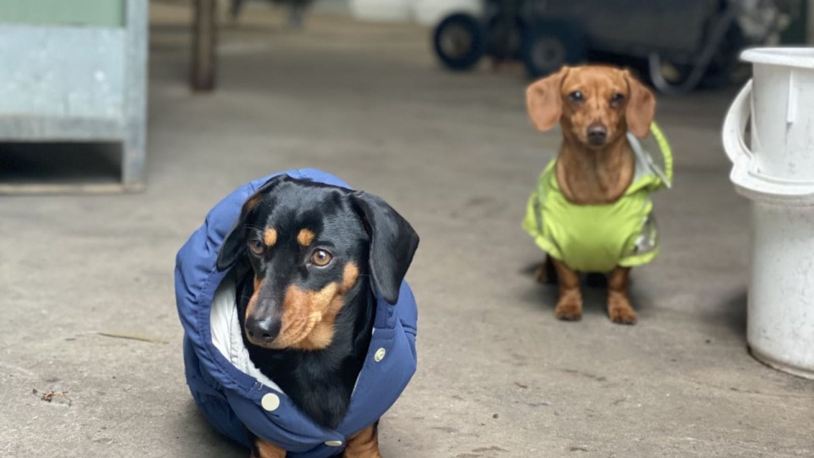 Clare Valley Winery, Jeanneret Wines, Clare Valley Brewing Co, Food Trucks, Wine, Beer, Gin, Food