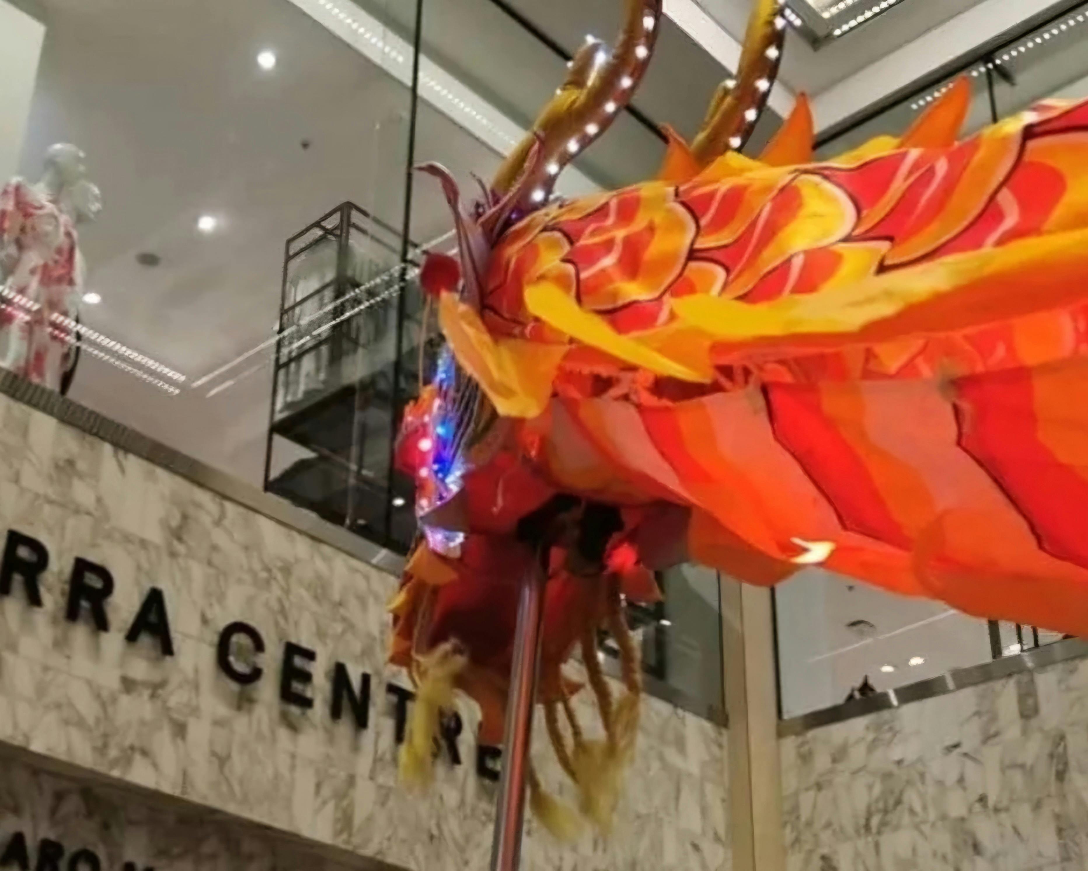 Canberra Dragon Dance Performance at Canberra Centre Lunar New Year