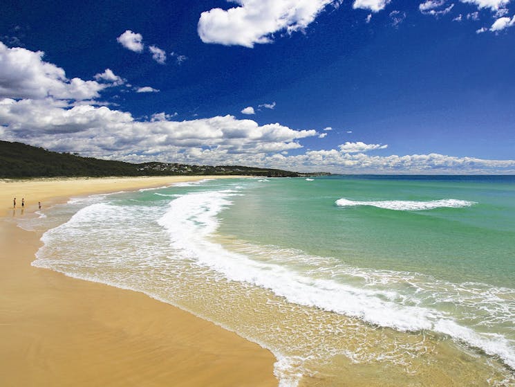 Lake Brou To Potato Point Walk Nsw Holidays
