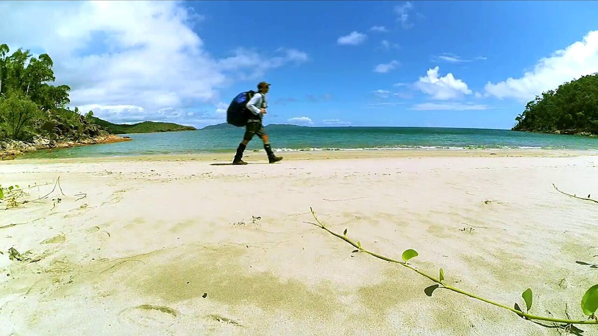 Walking the Thorsborne Trail, Hinchinbrook Island