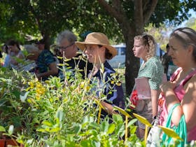 Katherine Native Plant Giveaway and Sale